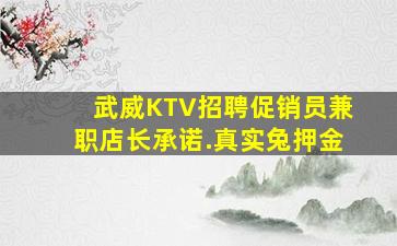 武威KTV招聘促销员兼职店长承诺.真实兔押金